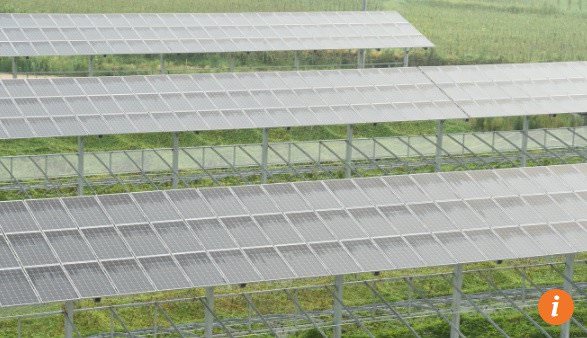 Trung Quốc Sẽ Giải Quyết Như Thế Nào Với Các Tấm Pin Mặt Trời Lão Hóa.