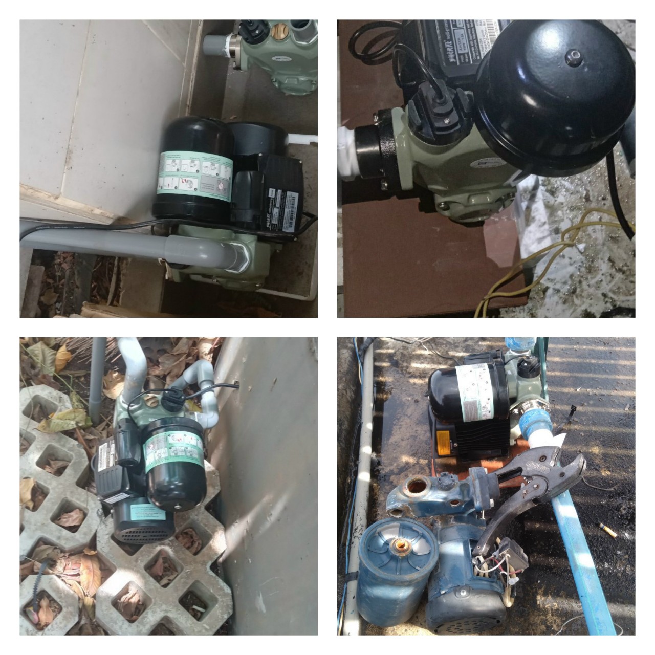 z5567966686253_2e3f750bc0dd3a74b299f88323329791